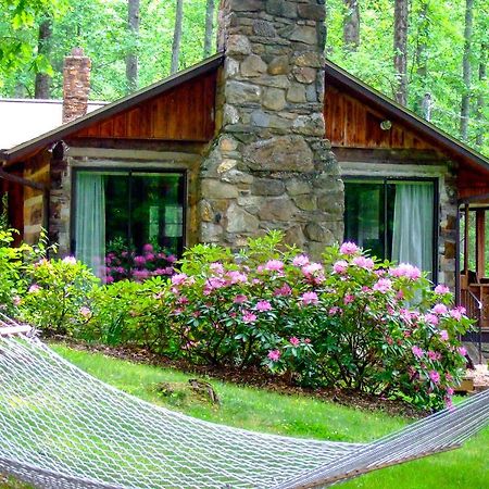 Asheville Cabins Of Willow Winds ภายนอก รูปภาพ